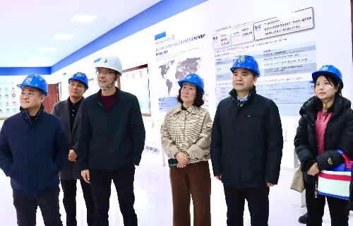 陽(yáng)光電源股份、宜賓智能制造行業(yè)協(xié)會(huì)、宜賓安徽商會(huì)調(diào)研遠(yuǎn)東電纜（宜賓）
